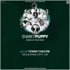 Snarky Puppy