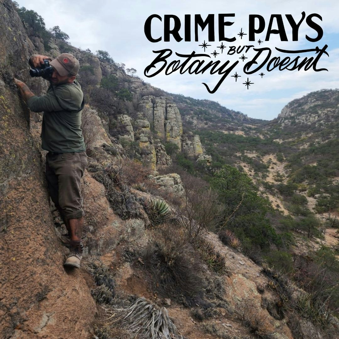 Crime Pays But Botany Doesn't (SOLD OUT)
