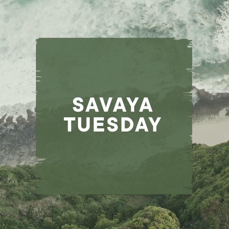 Savaya Tuesday