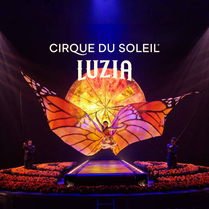Cirque du Soleil 2026: LUZIA in Miami at Luzia by Cirque Du Soleil ...