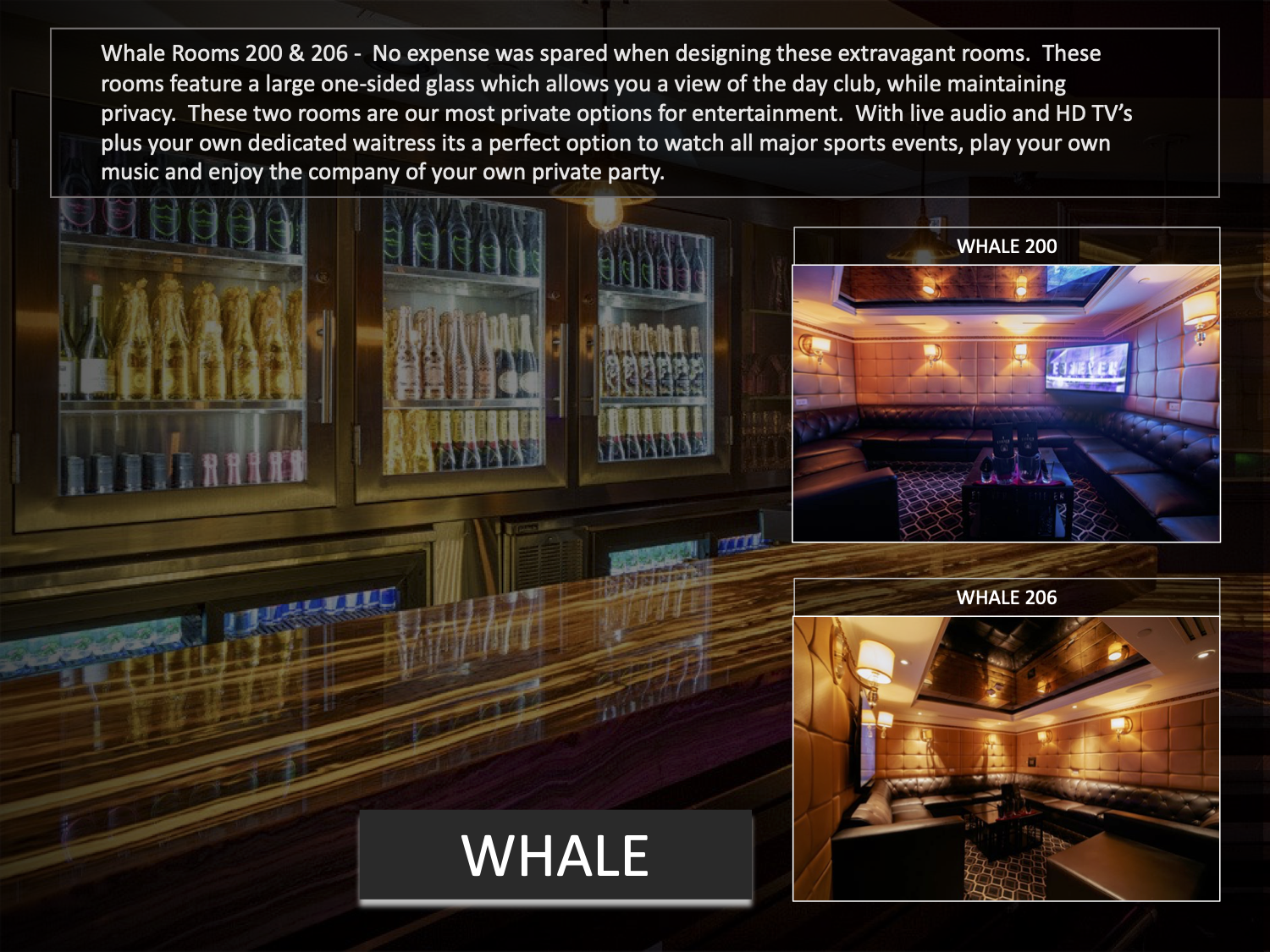 How Bottle Service at E11EVEN Miami Works [2023 GUIDE] Discotech