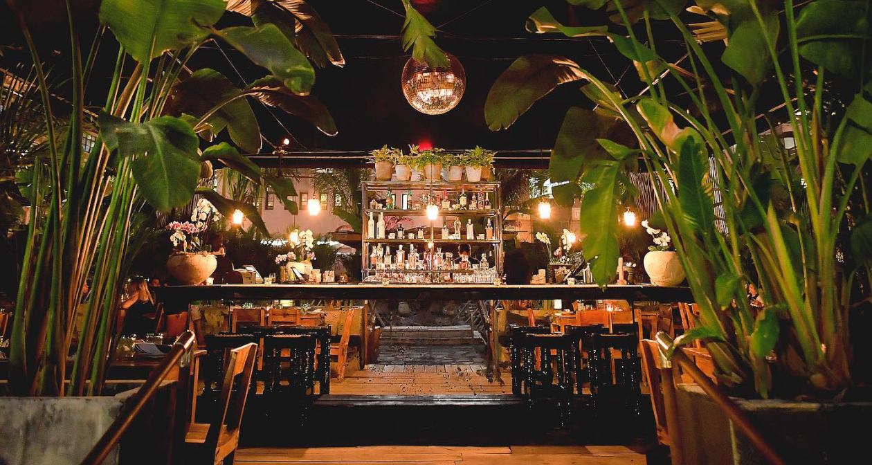 How Bottle Service at Gitano Tulum Jungle Tulum Works [2023 GUIDE